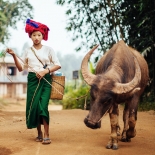 Women with water buffalo, rural Myanmar